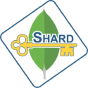 Choosing a good Shard Key in MongoDB